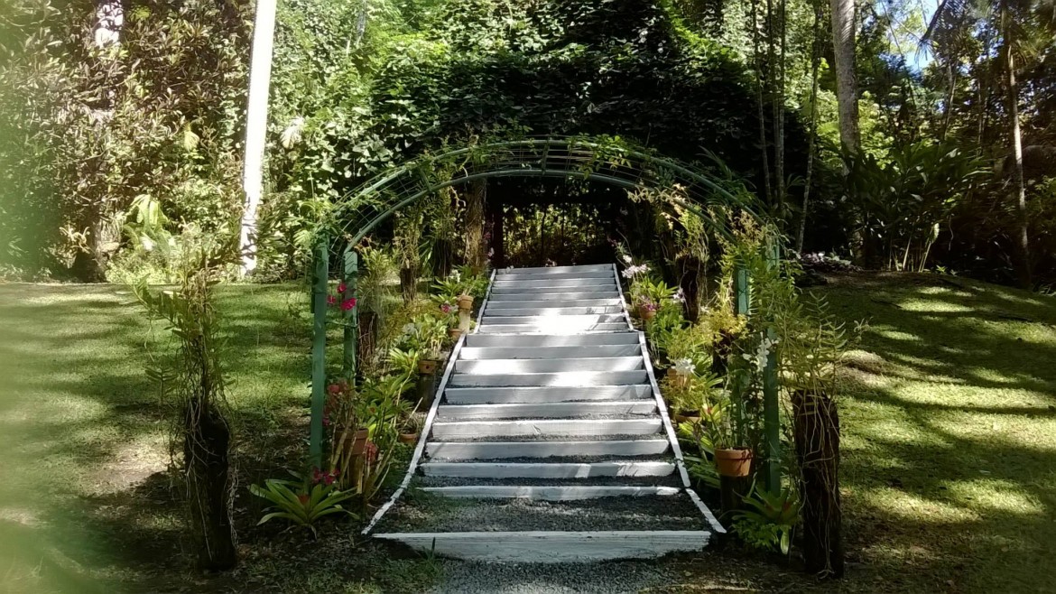 A Hidden Paradise! Garden Of The Sleeping Giant In Fiji