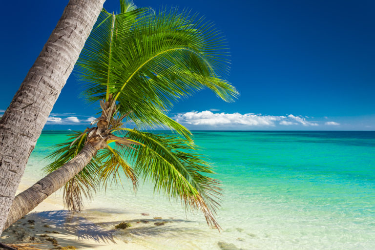 Eco Tourism in Fiji: Save the Planet While You Vacation